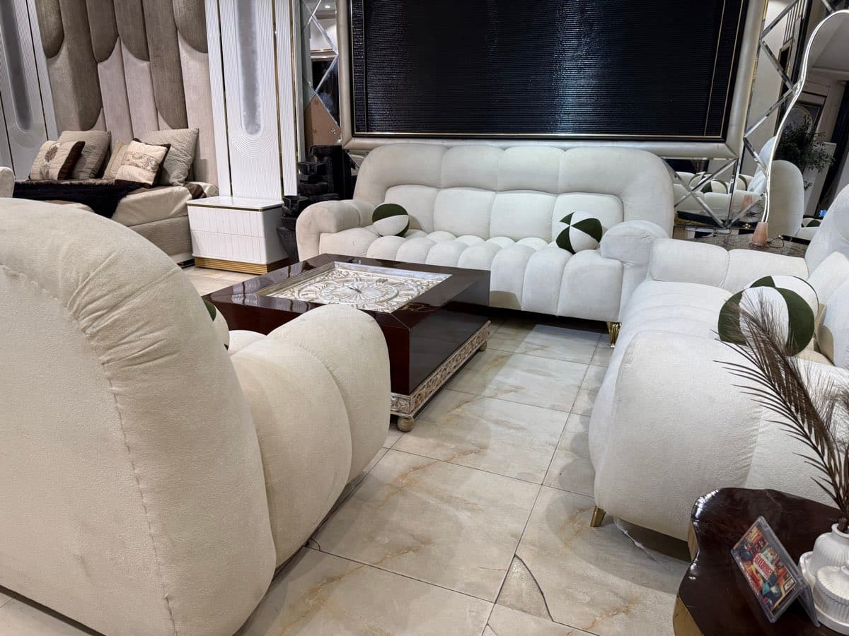 Elegant Contemporary Sofa Set with Coffee Table