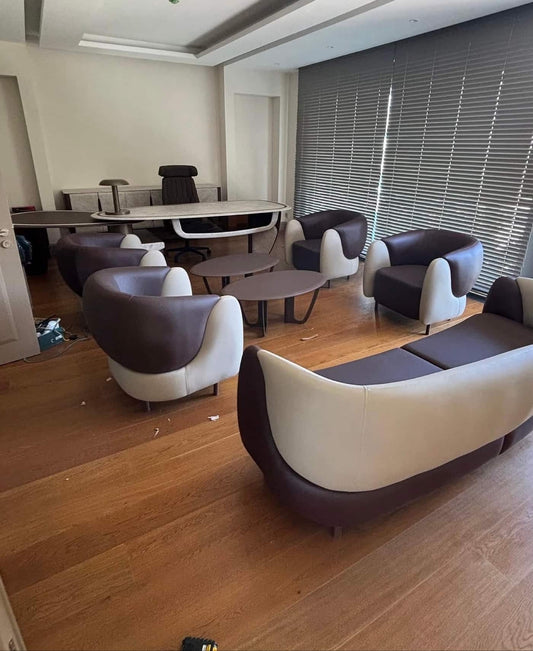 Modern Curved Sofa Set