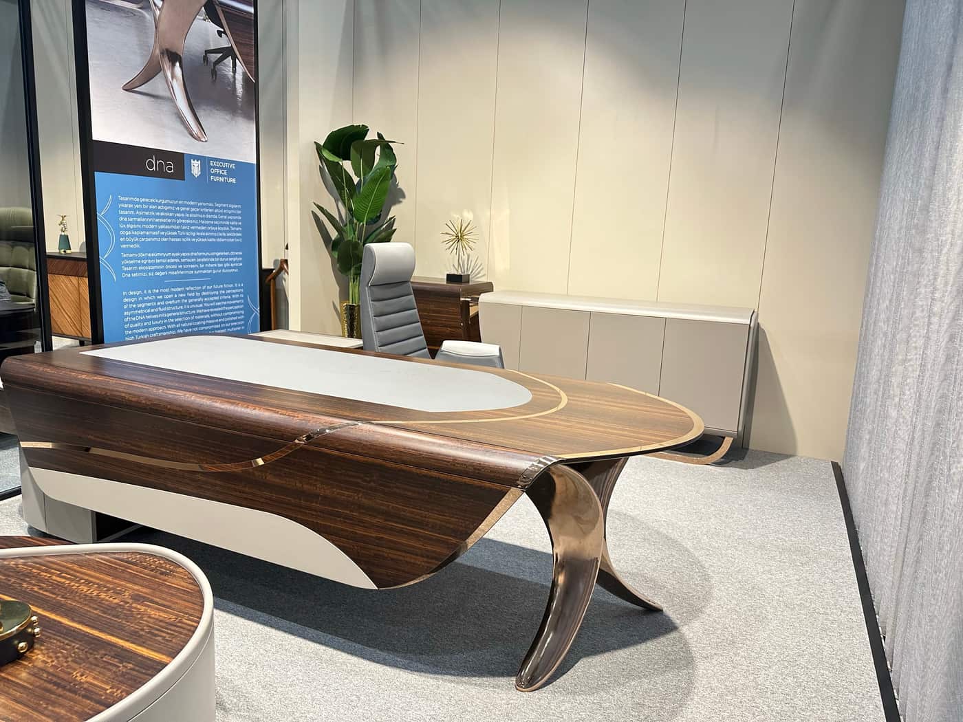 Elegant Executive Office Desk