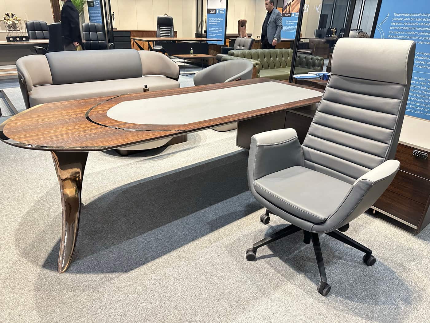 Elegant Executive Office Desk