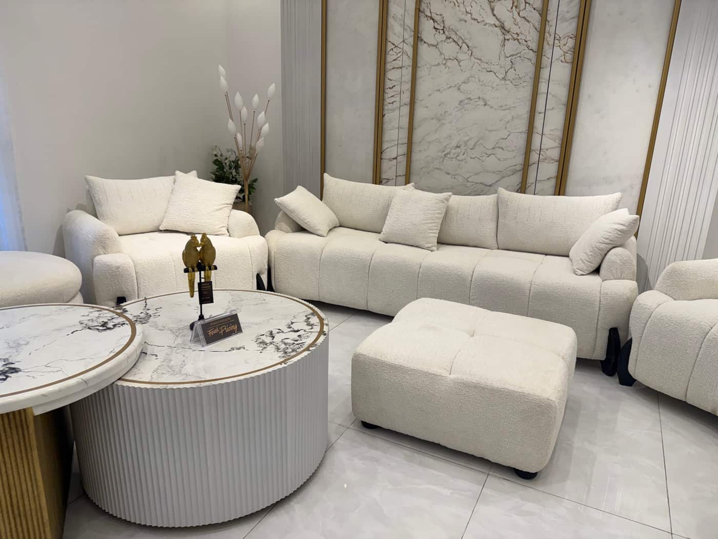 Elegant Modern Living Room Set