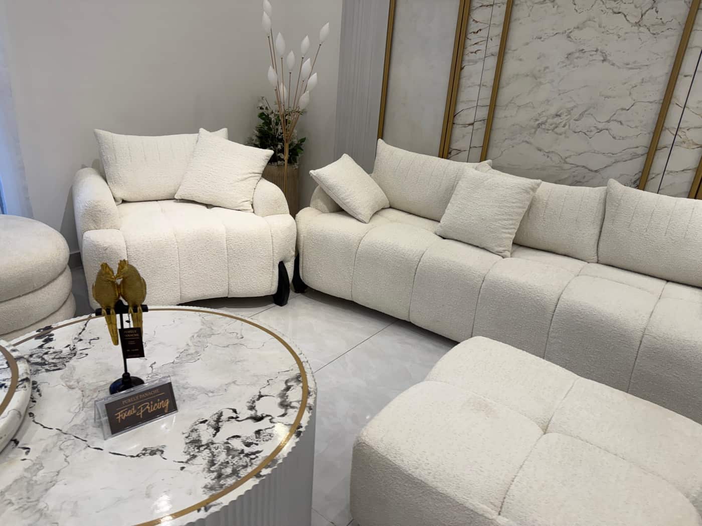 Elegant Modern Living Room Set